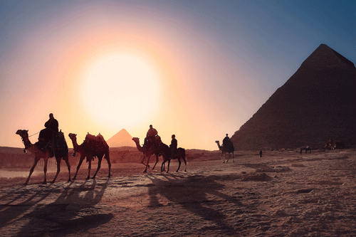 Free Trip to Egypt: Screening and Q&A